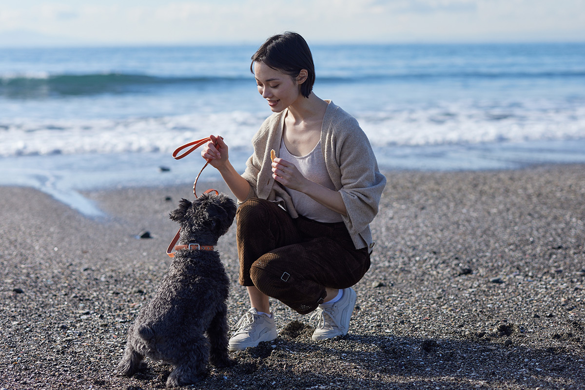 岩井海岸へ続く原生林の小径